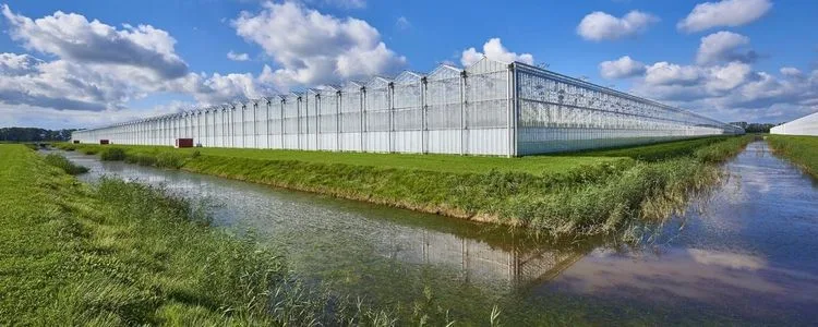 Glas- en Tuinbouw Grootscholten Advies en Beheer Home